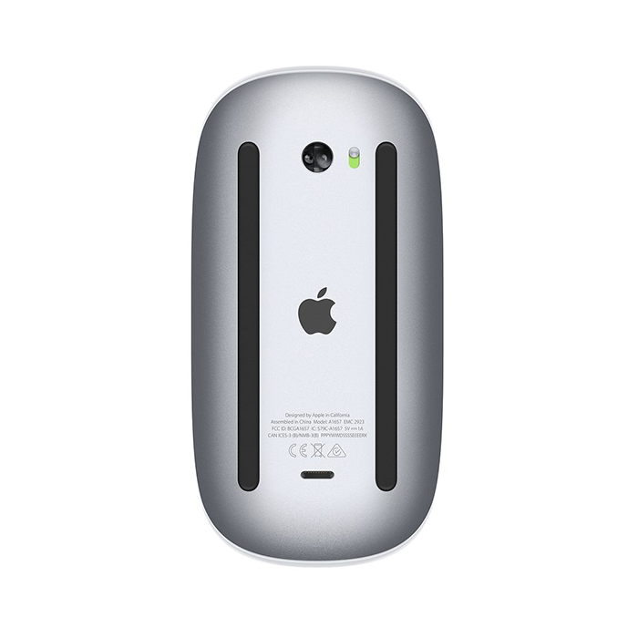 Apple Magic Mouse 2 popular in Silver