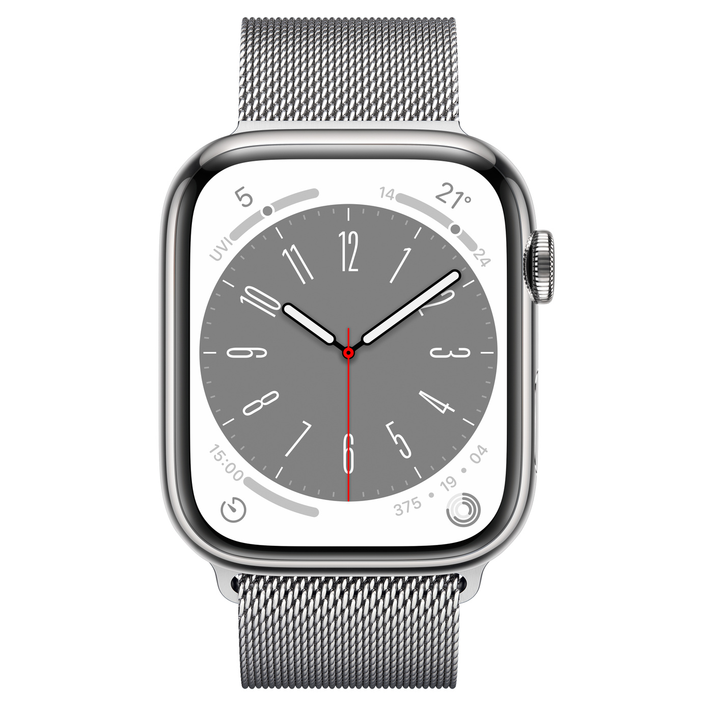 Apple sales watch steel